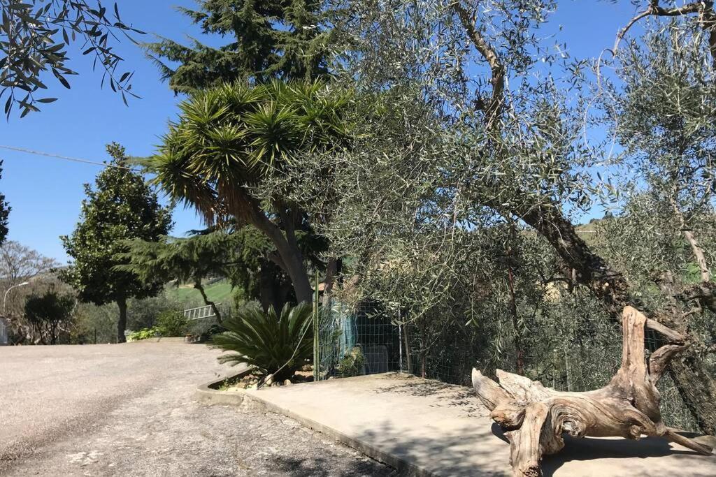 Apartament Casa Lu Monaco Tranquillita A Due Passi Dal Mare Porto d'Ascoli Zewnętrze zdjęcie